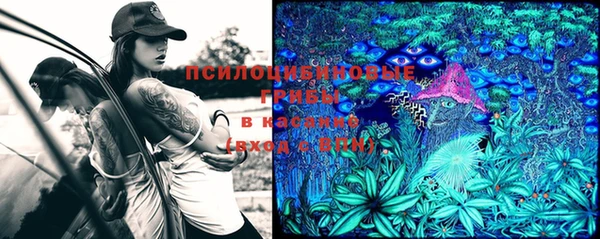 Альфа ПВП Гусиноозёрск
