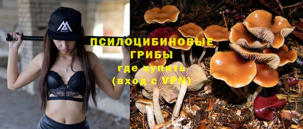 mix Горно-Алтайск