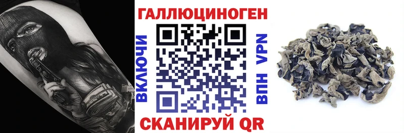 Псилоцибиновые грибы мицелий  цена   Москва 